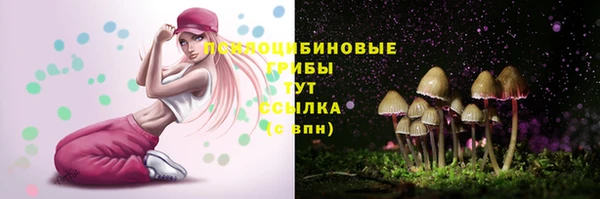 круглые Алексеевка