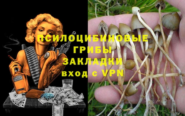 гидра Алзамай