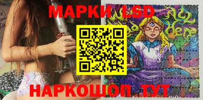 индика Обь