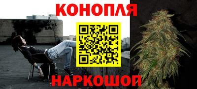 индика Обь