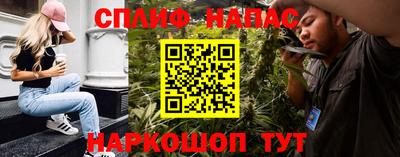 индика Обь